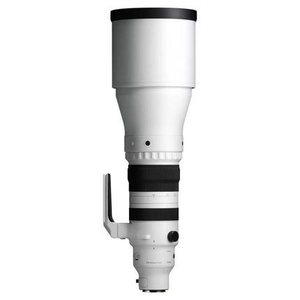 Sigma DG 300-600/4,0 OS Sport L-Mount