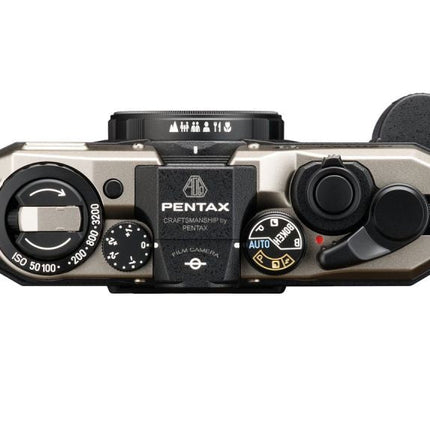 Pentax 17 Dark Silver (Halbformat)