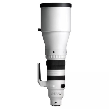 Sigma DG 300-600/4,0 OS Sport L-Mount