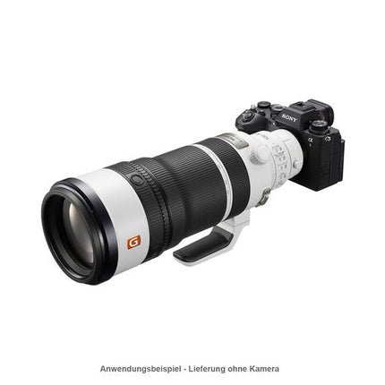 Sony SEL FE 100-400/4,5 GM